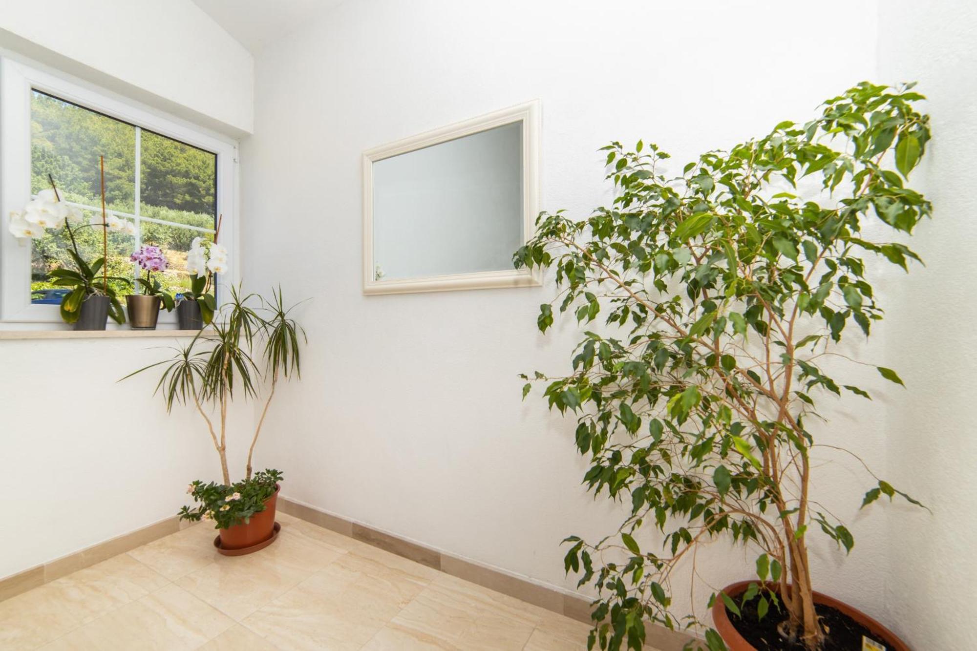 Apartments Tilda 브리스트 외부 사진